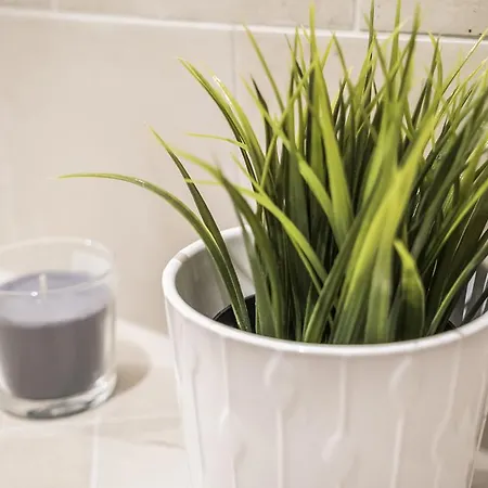 Brand New Apartmán *